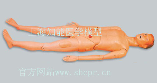 基礎(chǔ)護理人模型到底有哪些功能？