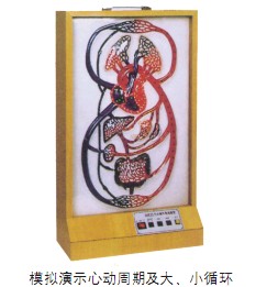 大、小循環(huán)電動(dòng)模型